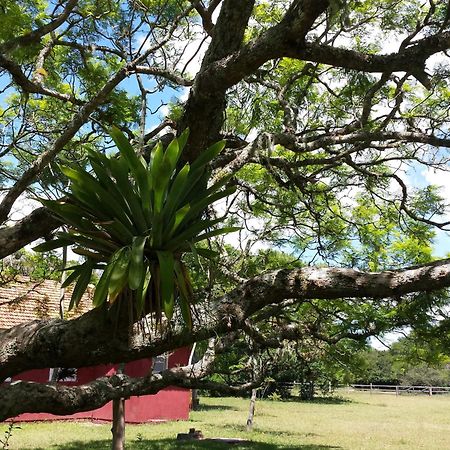 Aldeia Santuario Das Aves Tavares Zimmer foto