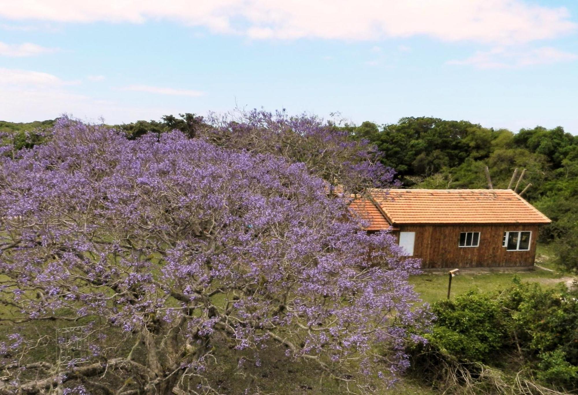 Aldeia Santuario Das Aves Tavares Zimmer foto