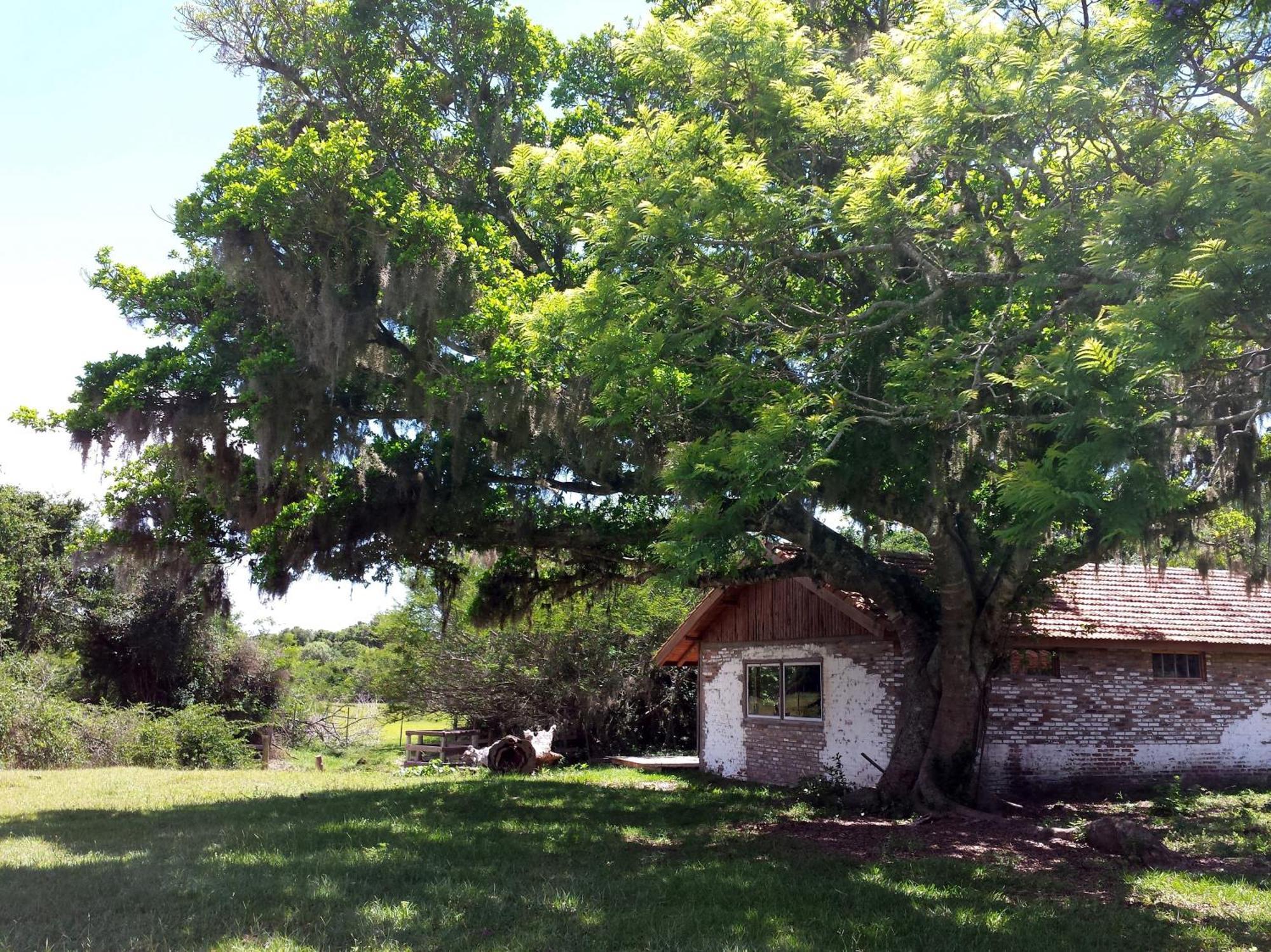 Aldeia Santuario Das Aves Tavares Zimmer foto