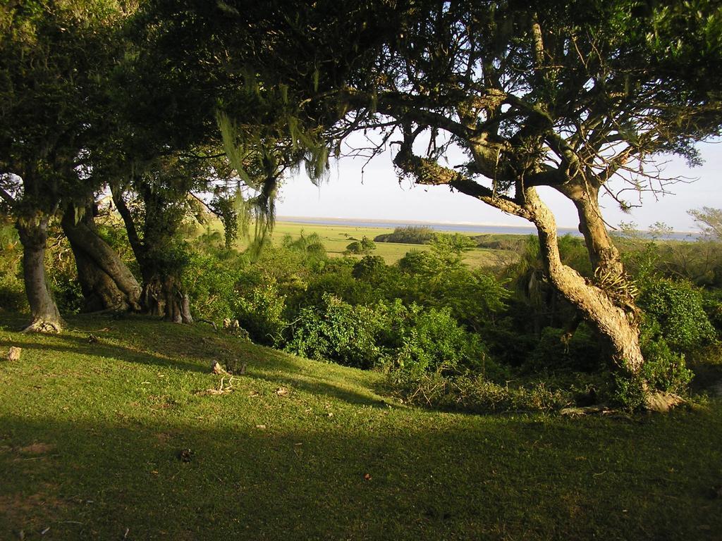 Aldeia Santuario Das Aves Tavares Exterior foto